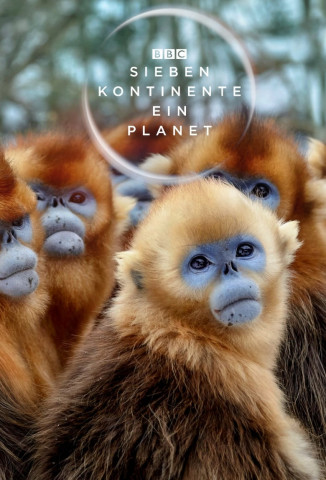 Sieben Kontinente - Ein Planet (2019)