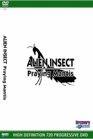 Praying Mantis - Die Gottesanbeterin (2005)