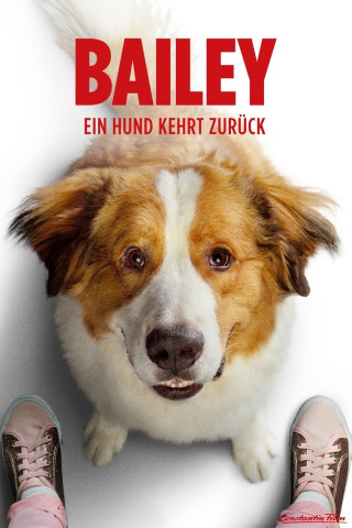 Bailey - Ein Hund kehrt zurück (2019)