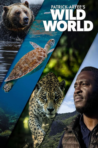 Patrick Aryee's Wild World (2022)