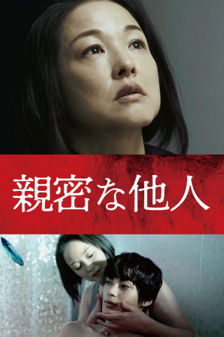 Intimate Stranger (1991)