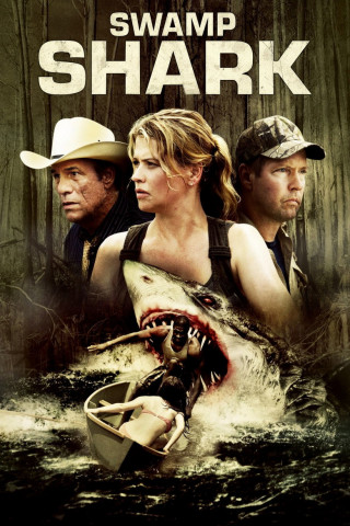 Hai Attack (2011)