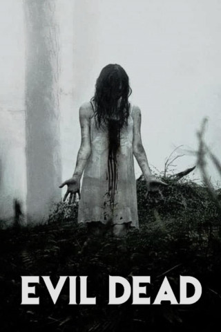Evil Dead (2013)