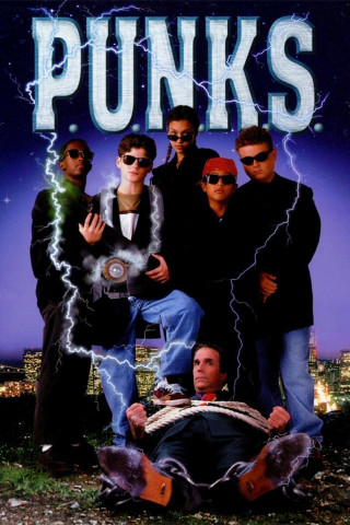 Fünf Freunde in geheimer Mission (1999)