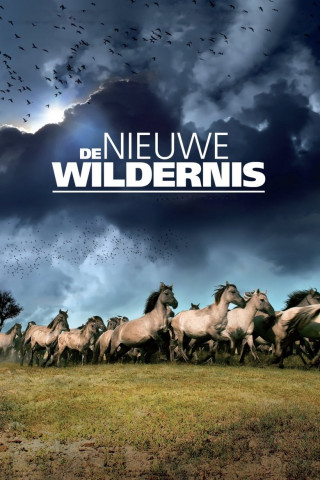 Die neue Wildnis (2013)