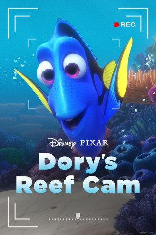 Doris Unterwasserkamera (2020)
