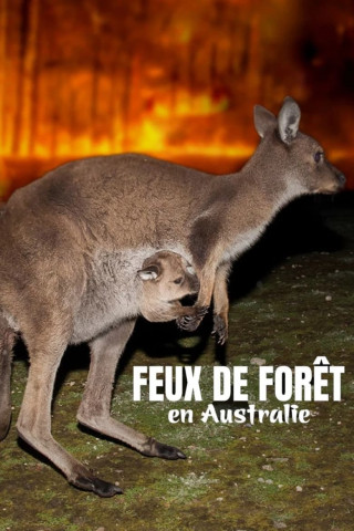 Koala, Wombat & Co. - Leben nach dem Buschfeuer (2020)