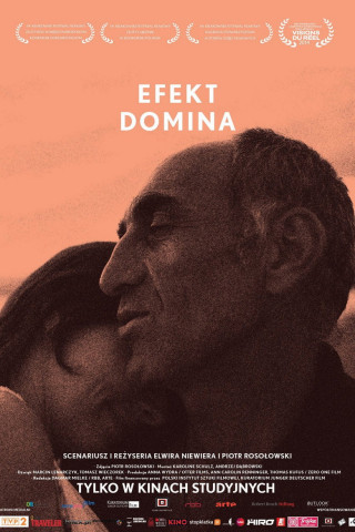 Domino Effekt (2014)
