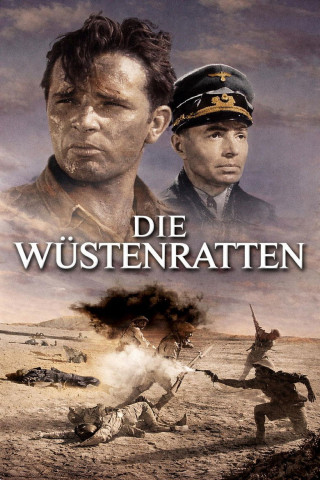 Die Wüstenratten (1953)