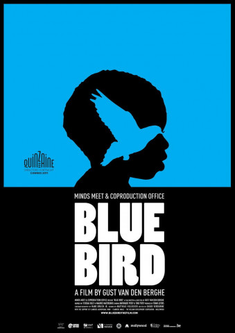 Blue Bird (2011)