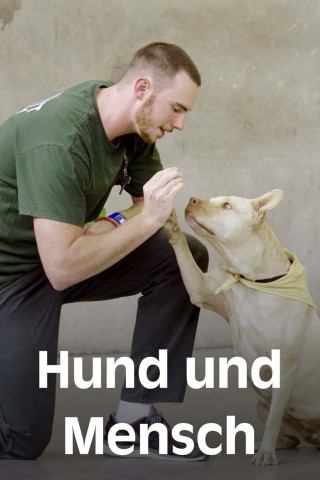 Hund und Mensch: Das Geheimnis einer Freundschaft (2019)