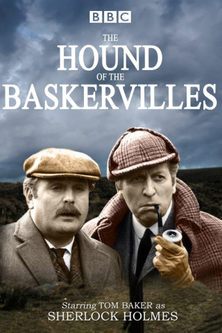 Der Hund von Baskerville (1982)