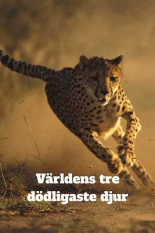 Transformers: Getarnte Roboter (2015)