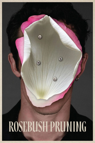 Rosebush Pruning (2026)