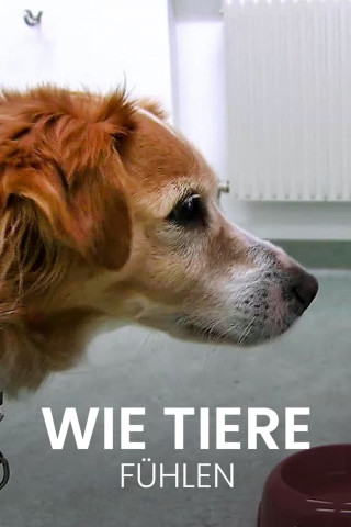 Wie Tiere fühlen (2016)