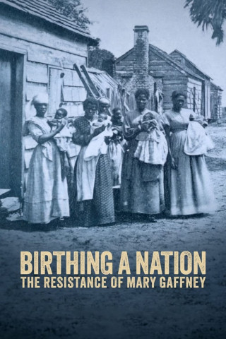 Geburt einer Nation: Der Widerstand der Mary Gaffney (2023)