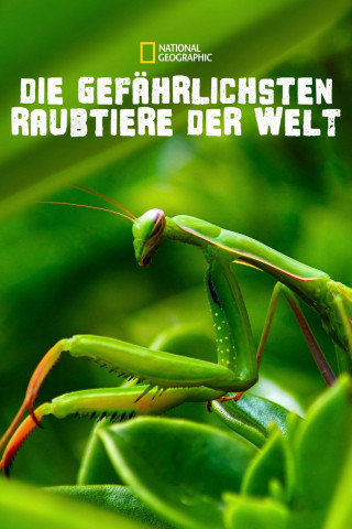 Die gefährlichsten Raubtiere der Welt (2010)