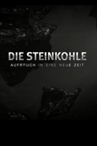 Die Steinkohle: Aufbruch in eine neue Zeit (2018)
