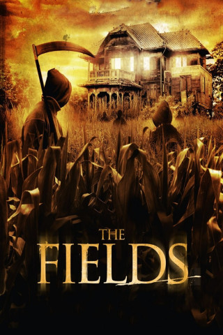 Shocking Fields (2011)