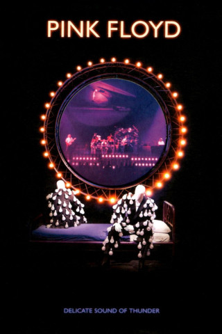 Pink Floyd: Delicate Sound of Thunder (1989)
