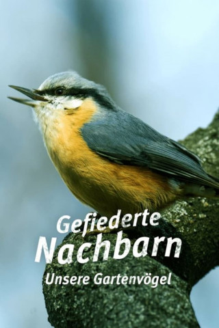 Gefiederte Nachbarn - Unsere Gartenvögel (2021)