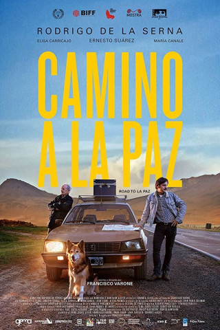 Camino a la paz (2015)