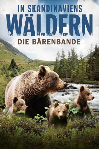 In Skandinaviens Wäldern - Die Bärenbande (2016)