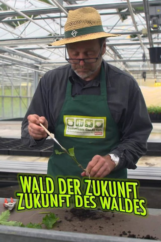 Wald der Zukunft - Zukunft des Waldes (2021)