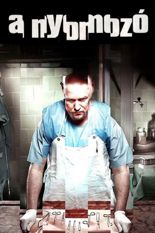 The Investigator (2008)