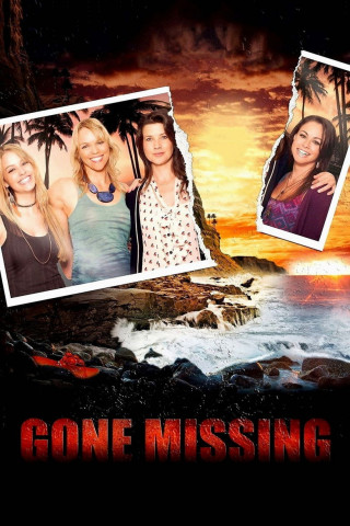 Gone Missing - Spring Break Lost - Für immer verschollen? (2013)