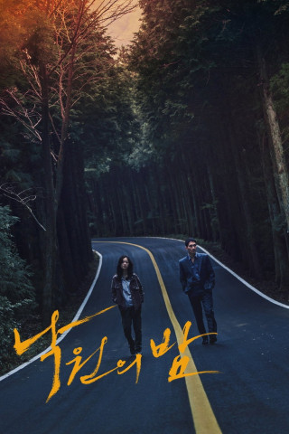 Night in Paradise (2020)