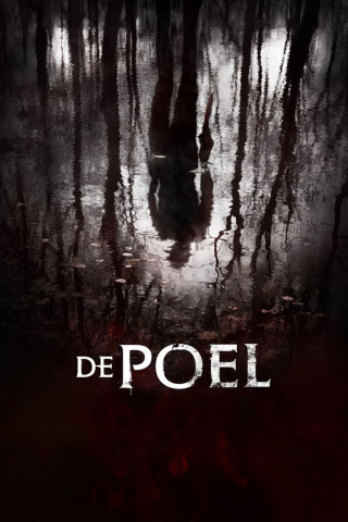 De Poel (2014)