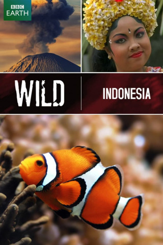 Wild Indonesia (1999)