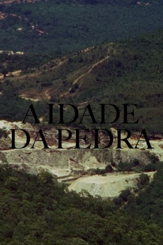A Idade da Pedra (2013)