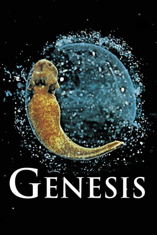 Genesis (2004)