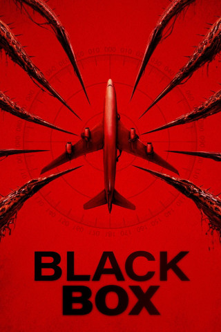 Black Box (2026)
