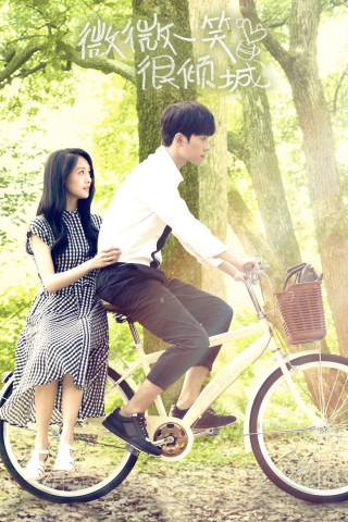 Ein zauberhaftes Lächeln (2016)