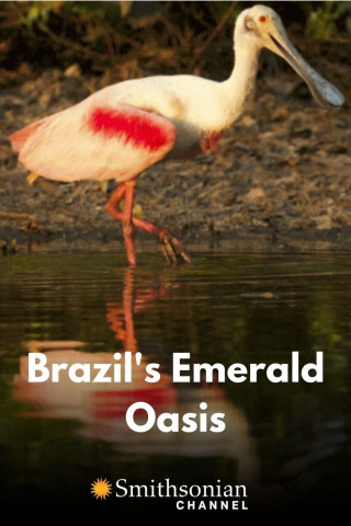 Wildes Pantanal (2020)