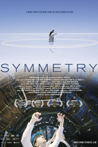 Symmetry (2015)