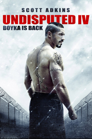 Undisputed IV - Boyka is back (2016)