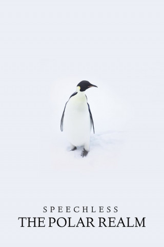 Speechless: the Polar Realm [OV] (2015)