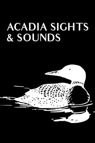 Acadia Sights & Sounds [OV] (2009)