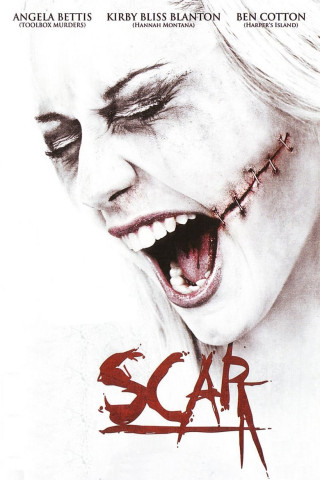 Scar 3D (2007)