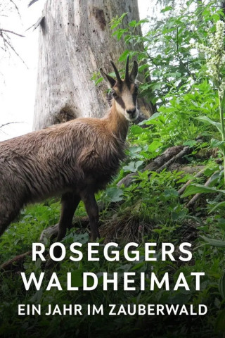 Roseggers Waldheimat - Ein Jahr im Zauberwald (2014)