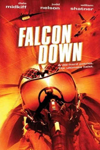 Falcon Down - Todesflug ins Eismeer (2001)