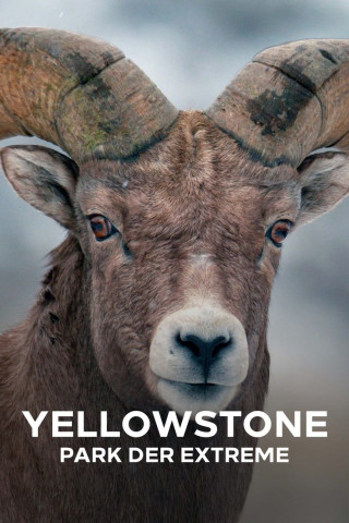Yellowstone - Park der Extreme (2019)