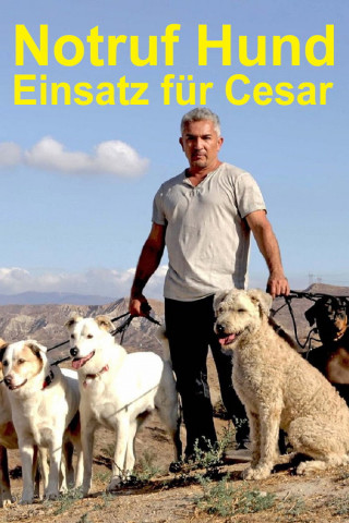 Notruf Hund - Einsatz für Cesar (2014)