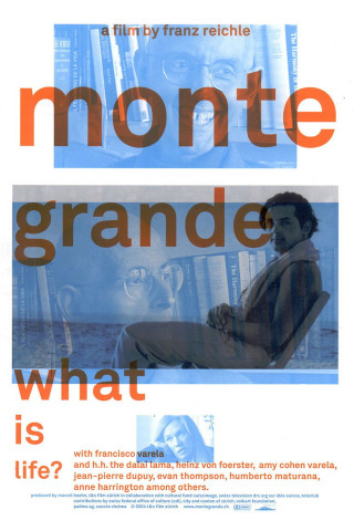 Monte Grande: What Is Life? (2005)