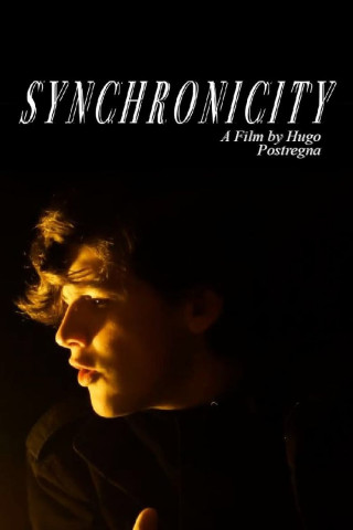 Synchronicity (2013)