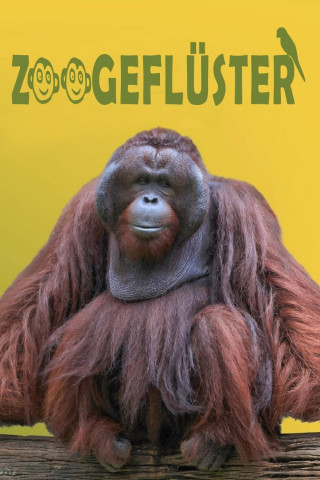Zoogeflüster (2018)